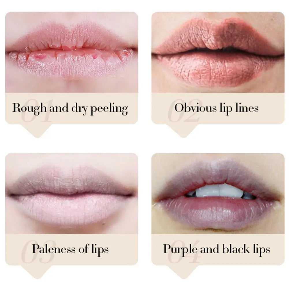 1/2/3pcs SADOER Coconut Lip Balm Long-Lasting Nourishing and Moisturing for Men and Women - Daily Care Lip Balm