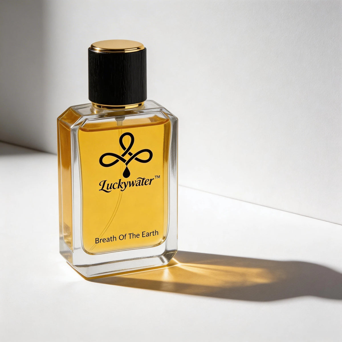 Men Eau De Parfum Spray 50ml, Earth‑Inspired Woody Aromatic Fragrance, Orange Grapefruit Cedar Patchouli Notes, Portable Long‑Lasting Scent for Daily Office Dating Travel, Gentleman Fragrance Gift Choice for Him