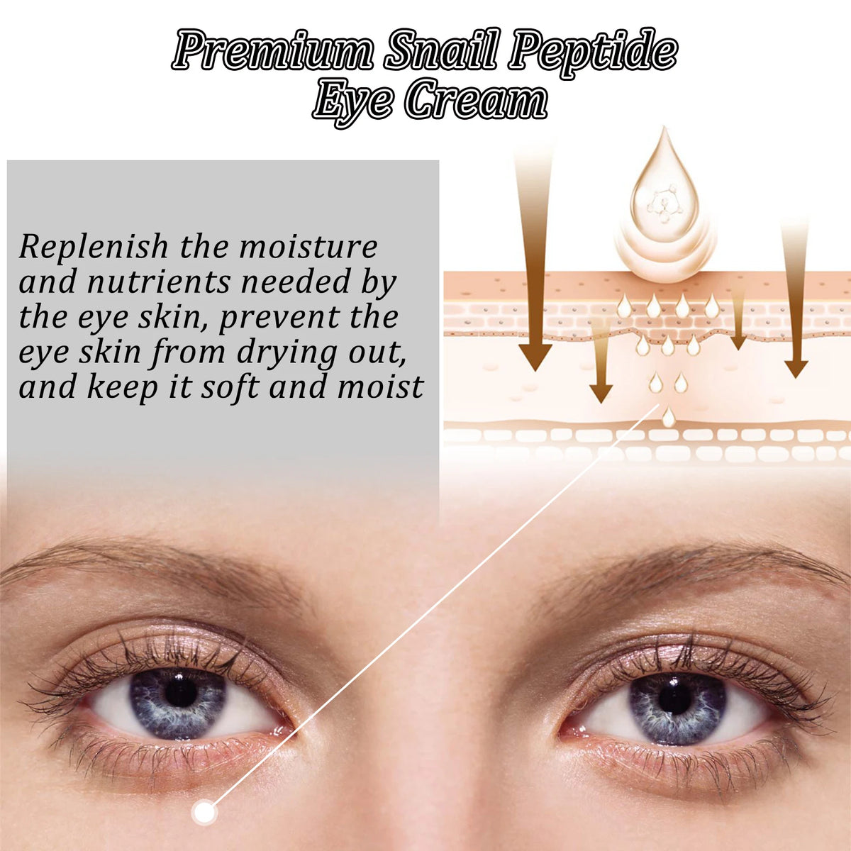 Snail Peptide Eye Cream Remove Eye Bag Anti-Puffiness Fade Dark Circle Firming Skin Roller Massage Nourishing Care Eye Cream