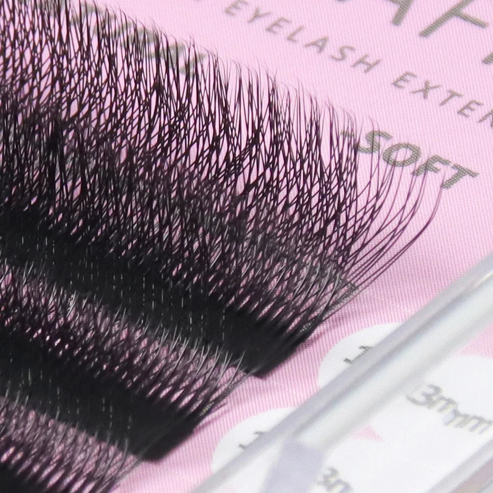 ANNAFRIS 6D W Lash Extensions Natural Soft Premade Volume Fans  6D W Easy Fan Eyelash