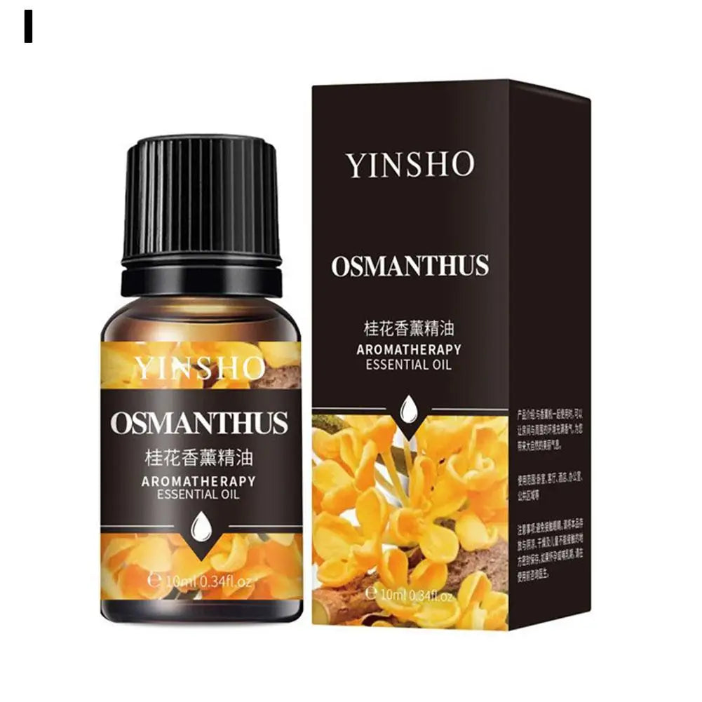10PCS Essential Fragrance Oil for DIY Candles Making Pure Nature Oil for Diffuser Aromatherapy Fragrance Oil Vanilla Lavender